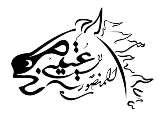 Custom Arabic logo design